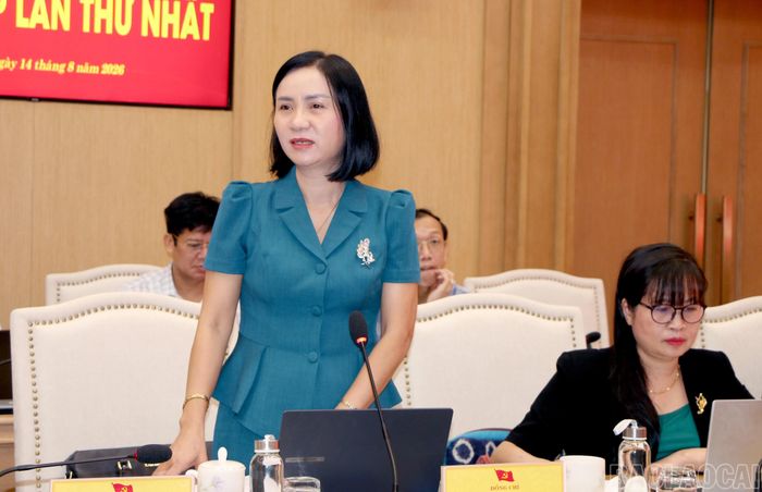 Các thành viên Ban Chỉ đạo tham gia thảo luận tại phiên họp.