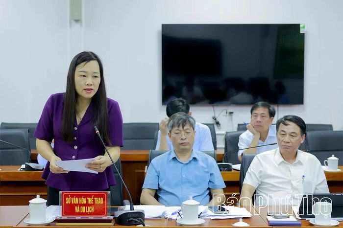 Lãnh đạo Sở Văn hóa, Thể thao và Du lịch phát biểu thảo luận tại hội nghị.