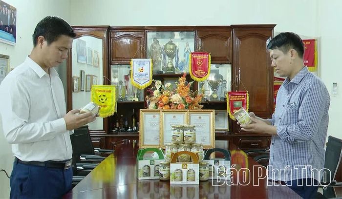 Nhiều mô hình sản xuất hiệu quả đã tạo ra những sản phẩm chất lượng cao, từng bước khẳng định vị thế trên thị trường.