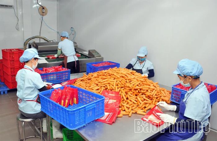 Sản phẩm xúc xích của Công ty TNHH Thương mại dịch vụ KAD Việt Nam (phường Phúc Yên) được đông đảo khách hàng trên cả nước ưa chuộng.