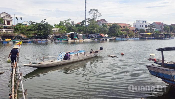 Nuôi cá lồng tại thôn Cồn Sẻ, xã Nam Gianh đang là hướng đi hiệu quả - Ảnh: L.Lan