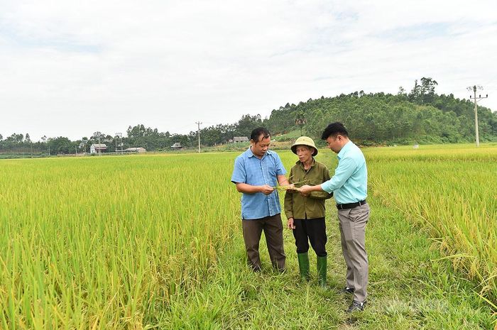Cán bộ xã Hồng Sơn trao đổi với người dân về việc áp dụng giống lúa đặc sản, chất lượng cao vào sản xuất.