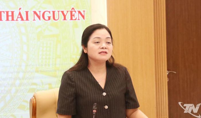 Đồng chí Phó Chủ tịch UBND tỉnh Nguyễn Thị Loan phát biểu kết luận cuộc họp.
