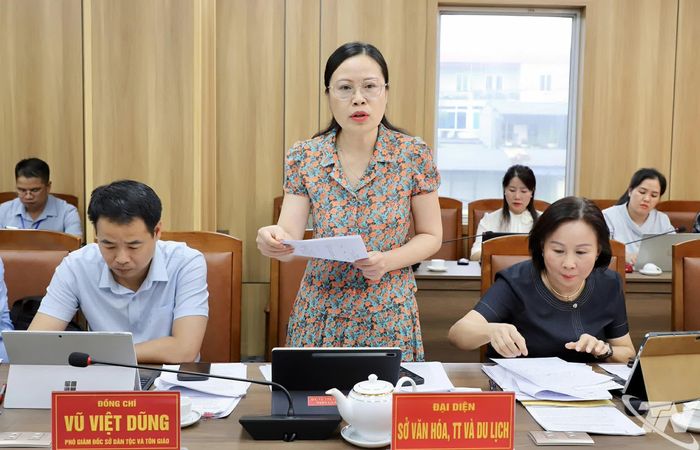 Đại biểu phát biểu tại buổi giám sát.