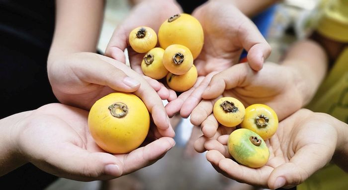 Nâng niu món quà từ trong cổ tích 