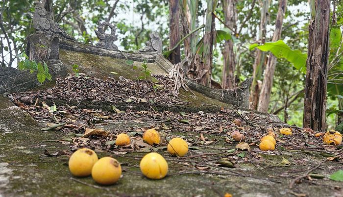  Dấu tích thời gian bên trên mái của miếu thờ ở nhà ông Tôn Thất Ấu 