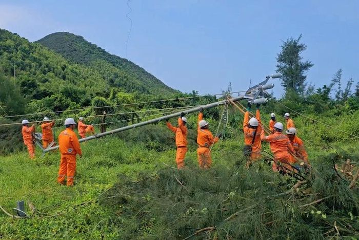 Nhân viên CTĐL Quảng Ninh  xử lý tình huống giả định sự cố gãy cột 144, nghiêng cột 143, đứt dây dẫn 3 pha khoảng cột 143-144 nhánh 475 Quan Lạn