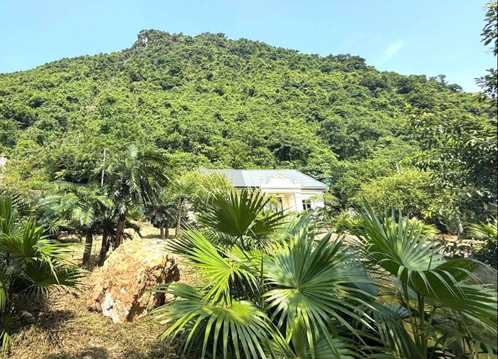 Đá lớn từ núi lăn xuống nhà dân.