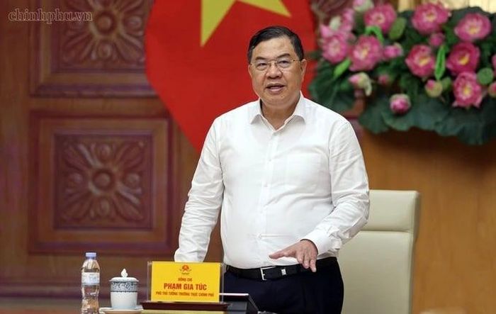 Phó thủ tướng thường trực Phạm Gia Túc phát biểu tại hội nghị, ngày 13/8. Ảnh: VGP