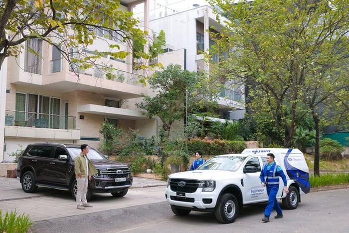 Nguồn cung lớn đang tạo ra một thị trường nhiều lựa chọn hơn.