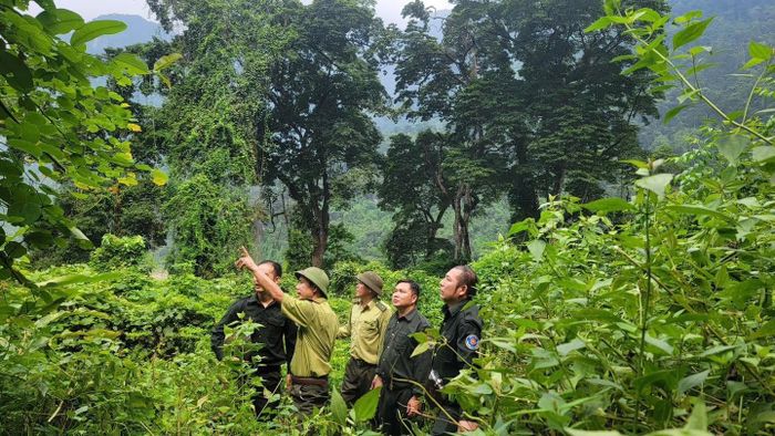 Cán bộ Hạt Kiểm lâm khu vực VI và Ban Quản lý rừng phòng hộ Lâm Bình phối hợp tuần tra bảo vệ rừng