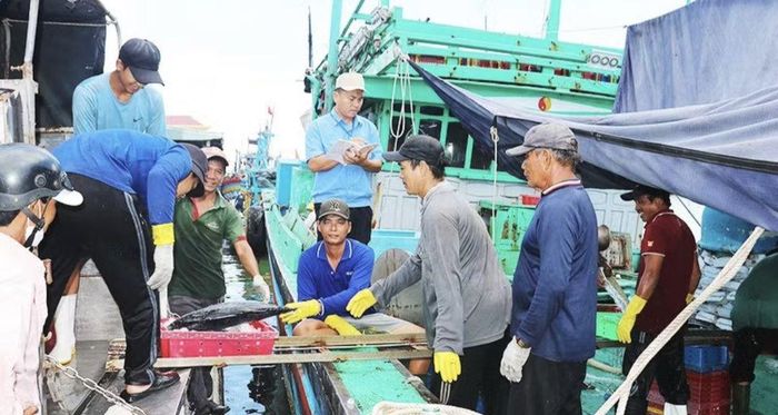 Ban Quản lý Cảng cá, Sở Nông nghiệp và Môi trường tỉnh Gia Lai quản lý chặt chẽ tàu, thuyền xuất – nhập bến. (Ảnh: Cổng TTĐT Gia Lai)