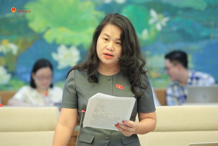 ĐBQH hoạt động chuyên trách tại Ủy ban Pháp luật và Tư pháp Nguyễn Quỳnh Liên phát biểu tại phiên họp