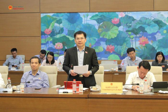 ĐBQH Dương Khắc Mai (Lâm Đồng) phát biểu