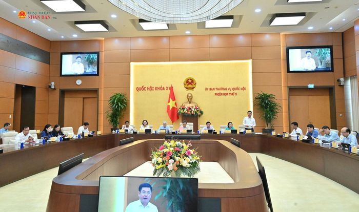 Phó Chủ tịch Quốc hội Nguyễn Hồng Diên điều hành phiên họp