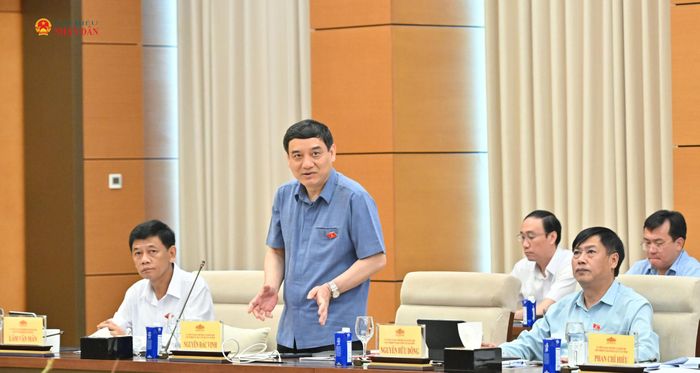 Chủ nhiệm Ủy ban Văn hóa và Xã hội Nguyễn Đắc Vinh phát biểu
