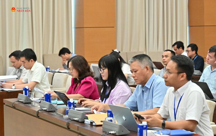 Các đại biểu dự phiên họp