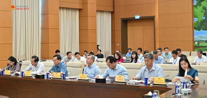 Các đại biểu dự phiên họp