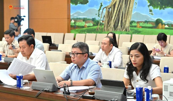 Các đại biểu dự phiên họp