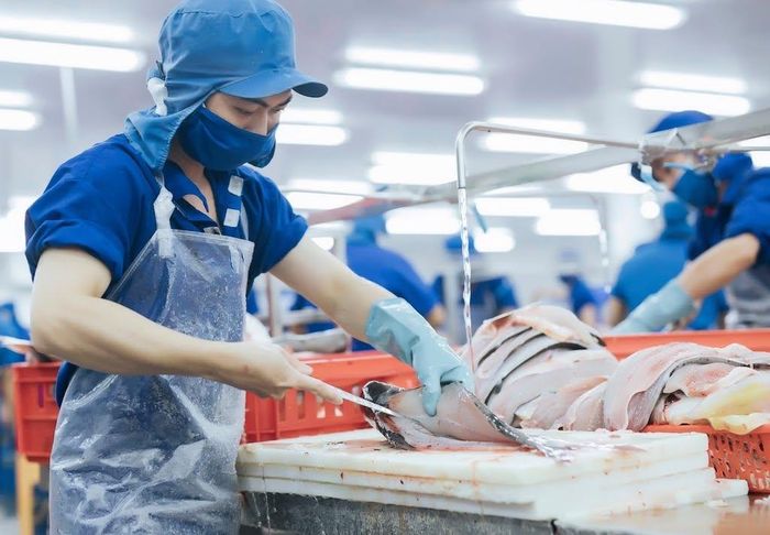 DN thủy sản vừa chịu sức ép từ thị trường xuất khẩu, vừa phải tháo gỡ những điểm nghẽn trong nước để giữ sức cạnh tranh.