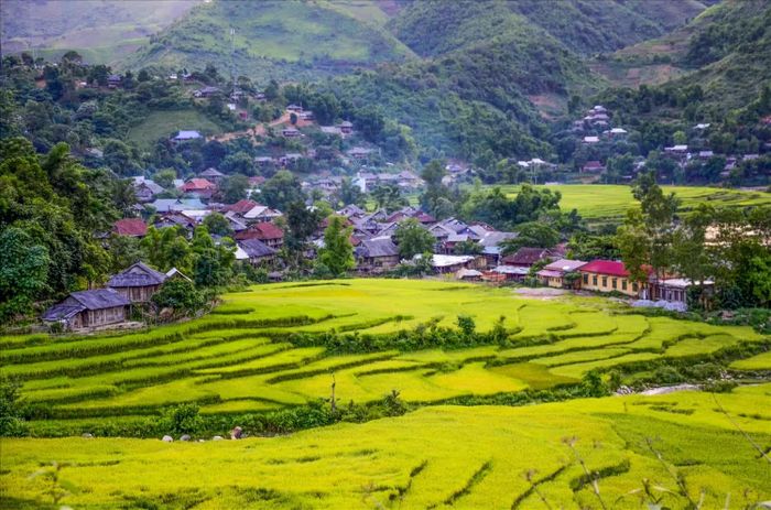 Mục tiêu của Điện Biên là đưa các chính sách mới nhanh chóng đi vào thực tiễn, hình thành vùng nguyên liệu tập trung