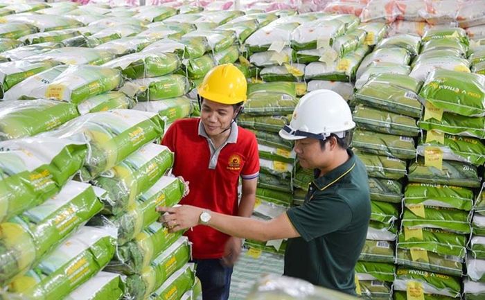 Cả ba nguồn thu nội địa, dầu thô và xuất nhập khẩu của TP. Hồ Chí Minh trong 7 tháng năm 2026 đều tăng so với cùng kỳ.