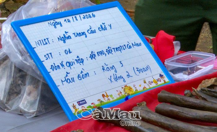 Thông tin hài cốt liệt sĩ được Đội K90 phát hiện, quy tập tại khu vực nghĩa trang tạm cầu Chữ Y.