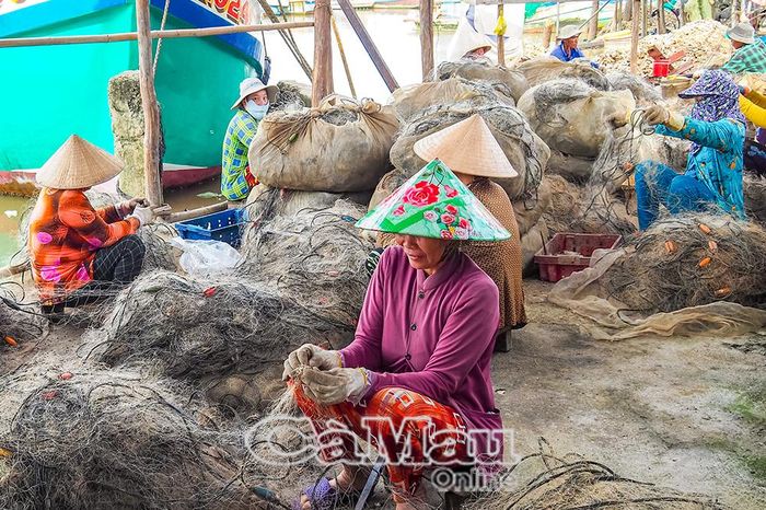 Những chuyến lưới ghẹ cũng tạo việc làm cho lao động địa phương, với thu nhập khoảng 100.000-200.000 đồng/ngày.