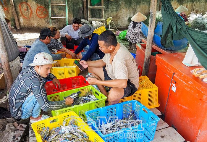 Ghe vừa cập bờ, thương lái đã chờ sẵn để thu mua ghẹ tươi sống ngay tại nơi cập bến.