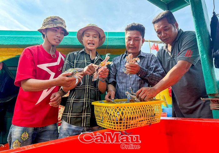 Sau mỗi chuyến biển, ngư dân luôn kỳ vọng những tay lưới đầy, mang về “lộc biển” và nguồn thu nhập cho gia đình.