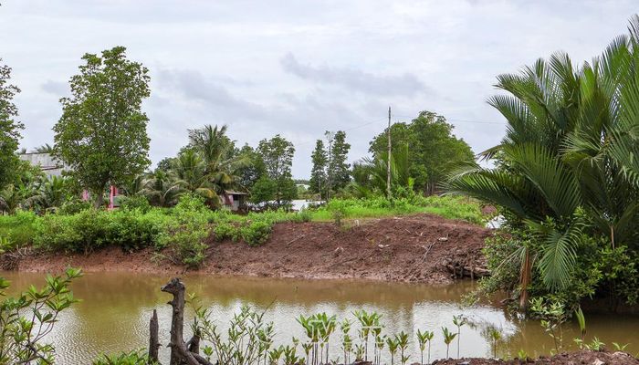 Một số đoạn đường dây điện “chia hơi” được người dân kéo tạm, tiềm ẩn nguy cơ mất an toàn, nhất là khi mưa lớn, gió mạnh.