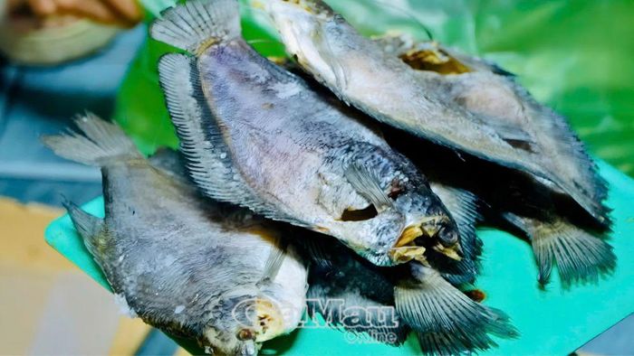  Sản phẩm khô cá bổi Tư Hùng được công nhận OCOP 4 sao.