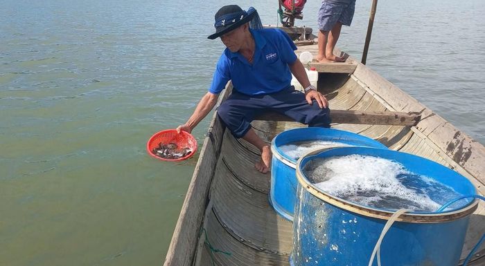 Tái tạo nguồn lợi thủy sản hôm nay chính là đầu tư cho sinh kế ngày mai.