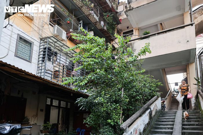 Tương tự, khu tập thể 15C Trần Khánh Dư có diện tích khoảng 1.410 m², gồm 2 tòa nhà 5 tầng với 49 căn hộ. Công trình được đưa vào danh mục cải tạo, xây dựng lại do đã xuống cấp sau nhiều năm sử dụng.