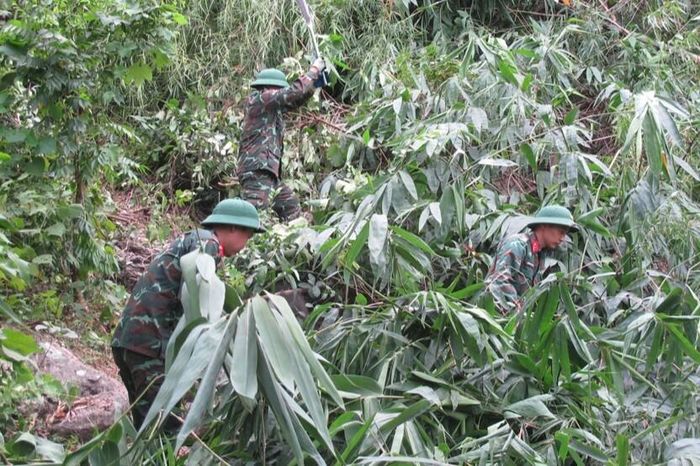 Lực lượng quân sự phường phát đường băng cản lửa.