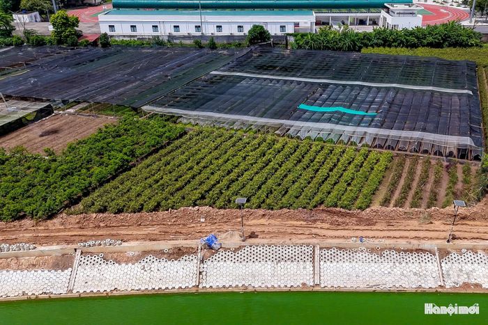Khu vực xung quanh hồ hiện vẫn còn những vùng đất sản xuất hoa màu của người dân. Xen giữa các khu dân cư, các công trình cao tầng và trục giao thông mới, mặt nước hồ tạo thêm khoảng không gian xanh đáng kể cho khu vực Bắc Từ Liêm.