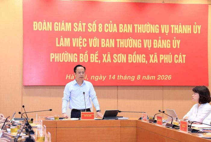 Đồng chí Trần Thế Cương kết luận buổi giám sát. Ảnh: MH