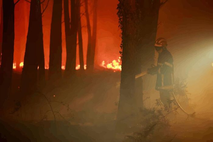 Ngọn lửa bao trùm cây cối trong một vụ cháy rừng bùng phát ở Luglon, Pháp. Ảnh: Reuters