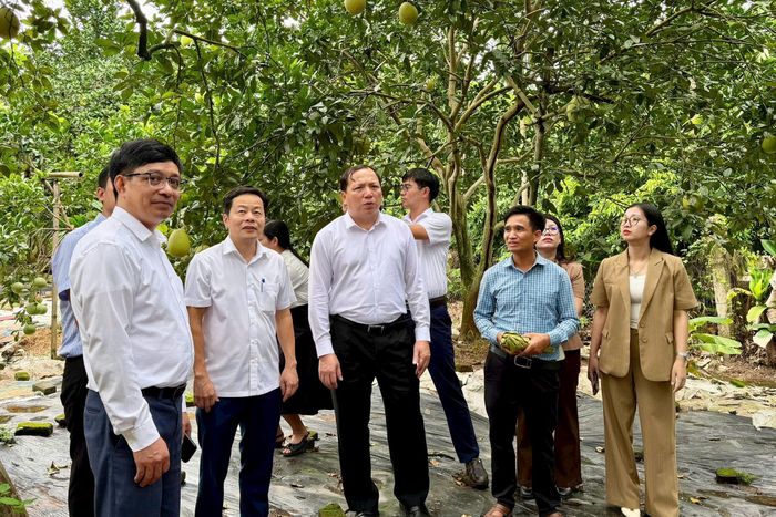 Đoàn công tác Học viện Nông nghiệp Việt Nam, Sở Nông nghiệp và Môi trường Hà Nội, xã Đại Xuyên đến tham quan các mô hình chăn nuôi và sản xuất nông sản tại xã Đại Xuyên. Ảnh: Vân Nga