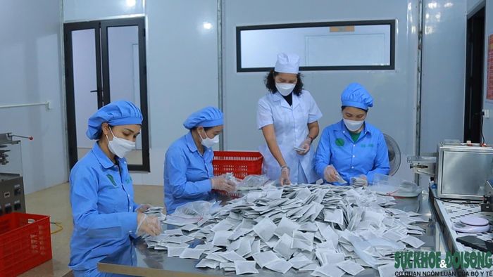 Sản phẩm dược liệu được sơ chế, chế biến để nâng giá trị thay vì chỉ bán nguyên liệu thô. Ảnh: Song Hoàng.