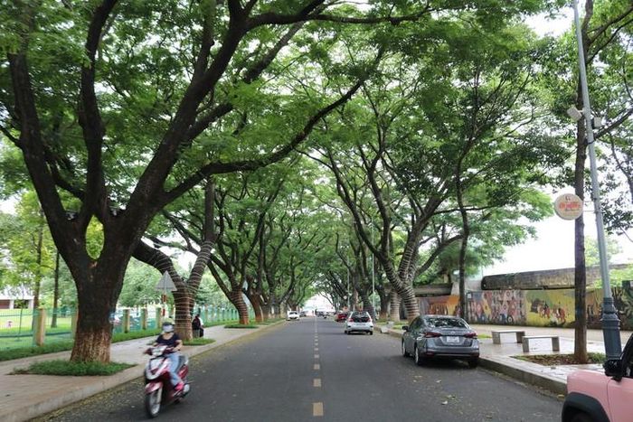 Quanh các trường học, cơ quan ở Buôn Ma Thuột, cây xanh cũng tỏa bóng mát quanh năm. Ảnh: H. Giang.
