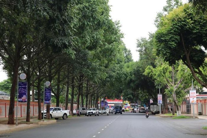 Cây xanh tỏa bóng ở hầu hết các tuyến đường chính tại Buôn Ma Thuột. Ảnh: H. Giang.