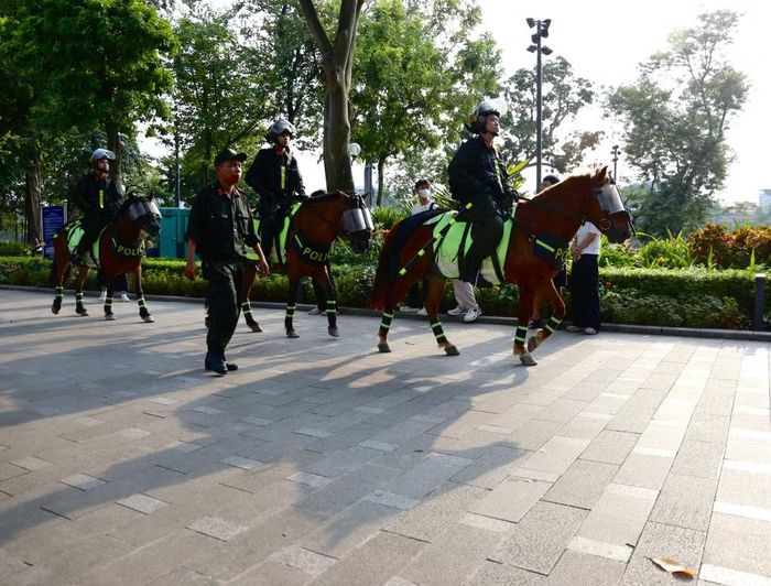 Bóng những chú ngựa nghiêng theo ánh nắng chiều