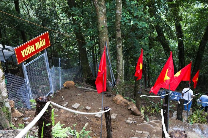 Khu bảo tồn, trồng Sâm Lai Châu có các vườn mẫu, vườn thực nghiệm.