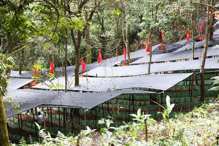 Theo Ban Chỉ huy Bộ đội Biên phòng tỉnh Lai Châu, mô hình đã xây dựng được 63 nhà dàn, mái che với tổng diện tích gần 6 ha.