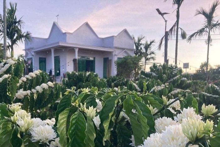  Ngôi nhà được anh Trường thiết kế theo tiêu chí ưu tiên công năng, tạo không gian mở. Tất cả phòng ngủ đều có cửa hướng ra khu vườn.