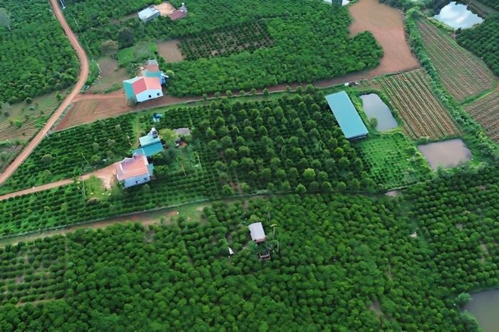  Nông trại của vợ chồng chị Ngọc Anh nhìn từ trên cao. 