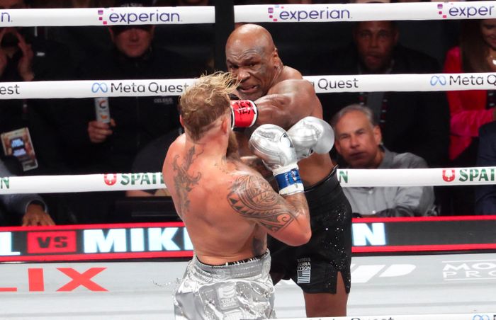  Mike Tyson từng là một đứa trẻ thường xuyên bị bắt nạt trước khi trở thành võ sĩ khiến cả làng quyền Anh khiếp sợ. 