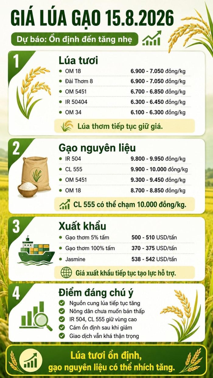 Các mức giá ngày 15.8.2026 trong phần dự báo là vùng tham khảo dựa trên diễn biến ngày 14.8.2026. Giá thực tế có thể thay đổi theo khu vực, chất lượng hàng và thời điểm giao dịch.