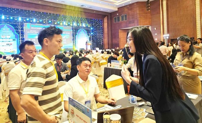 Các doanh nghiệp lữ hành Việt Nam tham gia giới thiệu sản phẩm và trao đổi cơ hội hợp tác với các doanh nghiệp lữ hành quốc tế